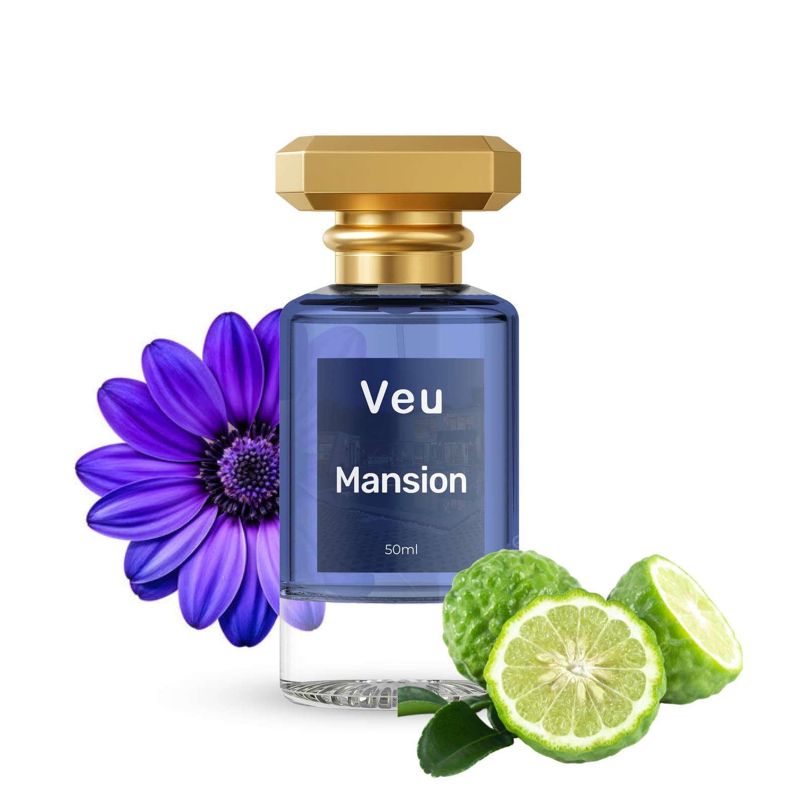 Mansion 2