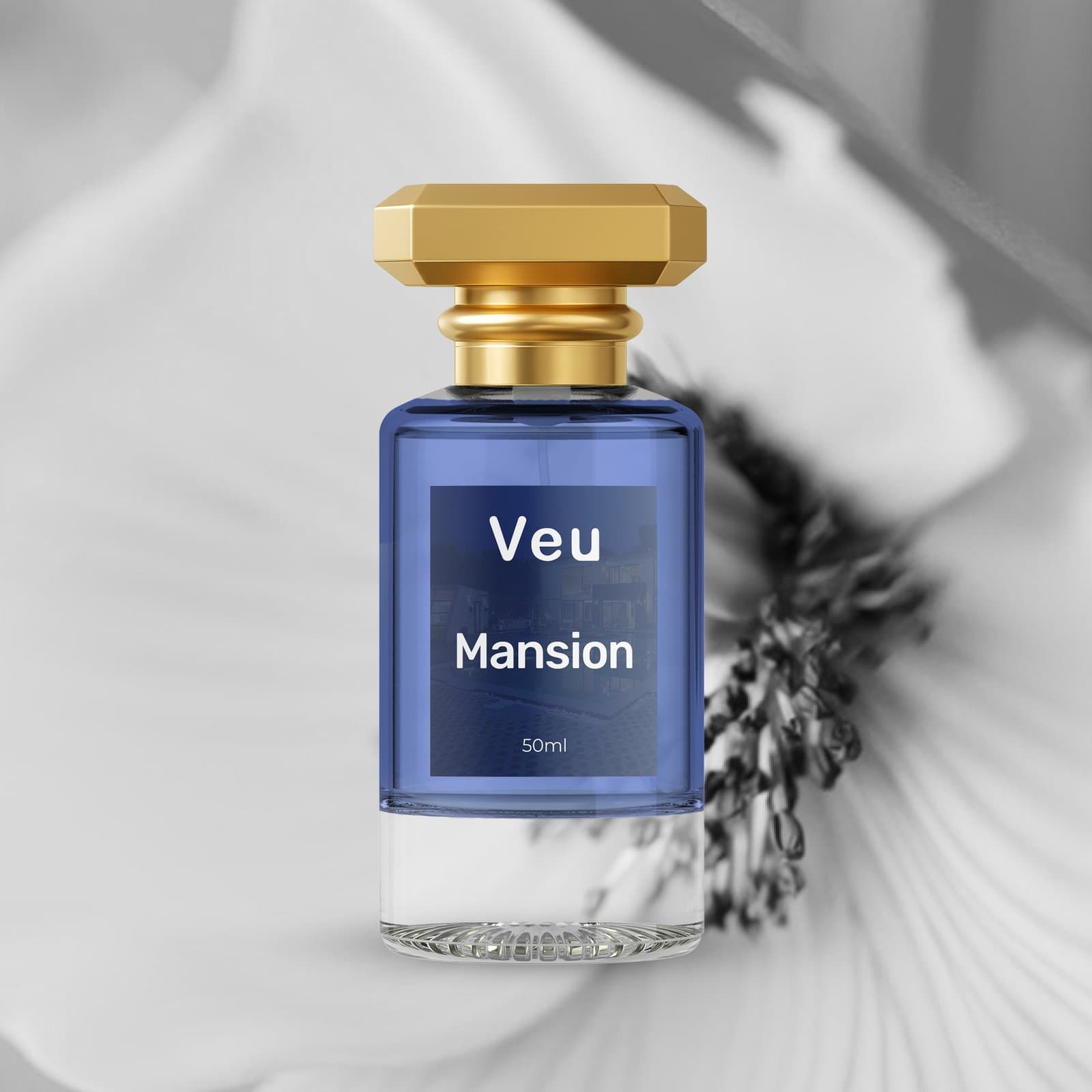 Mansion 6